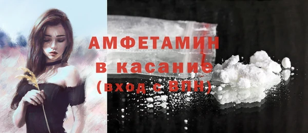 мдпв Пестово
