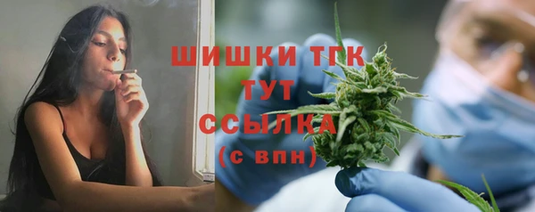 мдпв Пестово