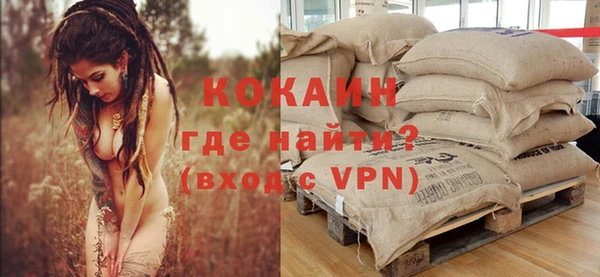 мдпв Пестово