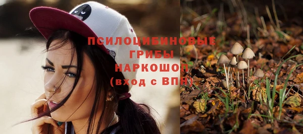 герыч Переславль-Залесский
