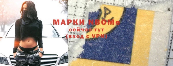 мдпв Пестово
