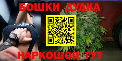 прущие крисы Шебекино