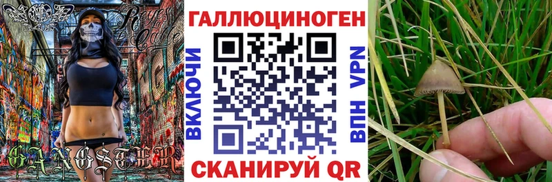 Псилоцибиновые грибы мухоморы  Купить закладки  Североморск 