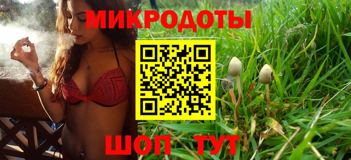 Псилоцибиновые грибы мицелий  Североморск  Галлюциногенные грибы ЛСД 