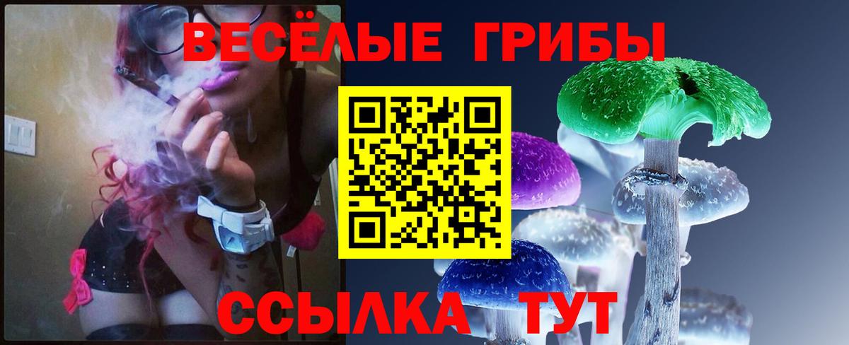 Североморск  Галлюциногенные грибы Psilocybine cubensis  Вход с VPN 