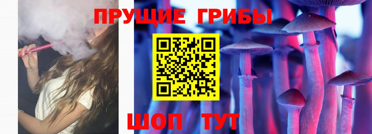Галлюциногенные грибы прущие грибы Североморск